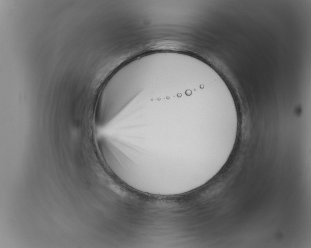 X0000111160529200907211229