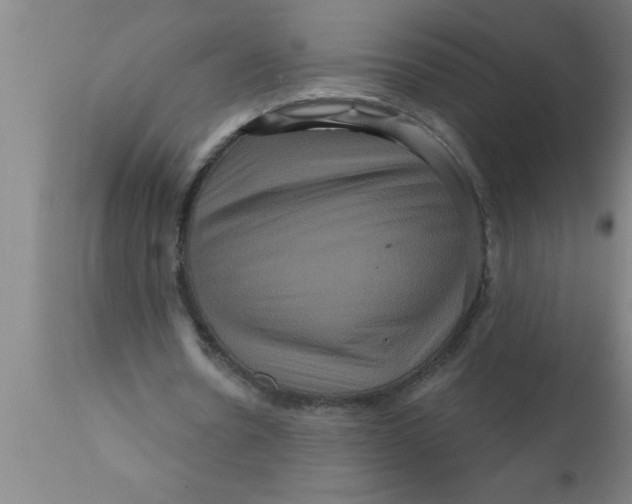 X0000111160530200907211229