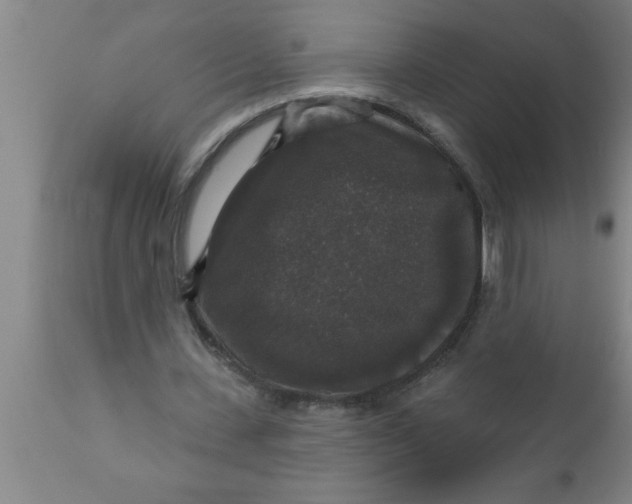 X0000111160531200907211229