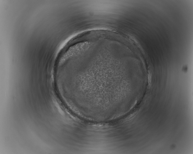 X0000111160532200907211229