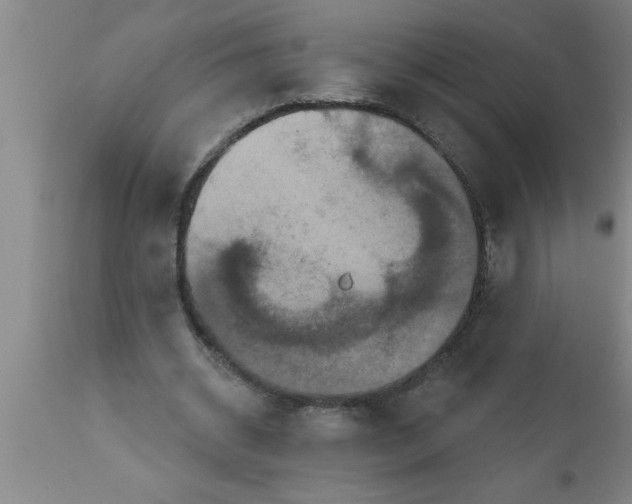 X0000111160534200907211229