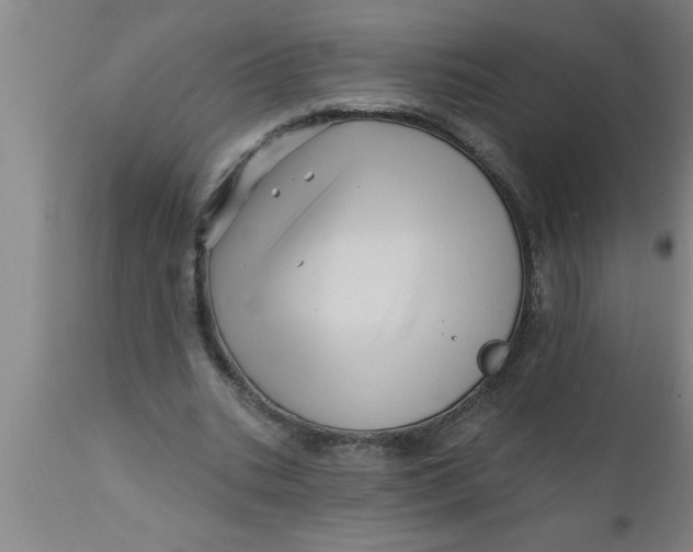 X0000111160535200907211229