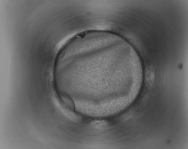 X0000111160536200907211229