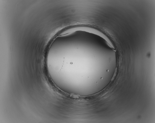 X0000111160540200907211229