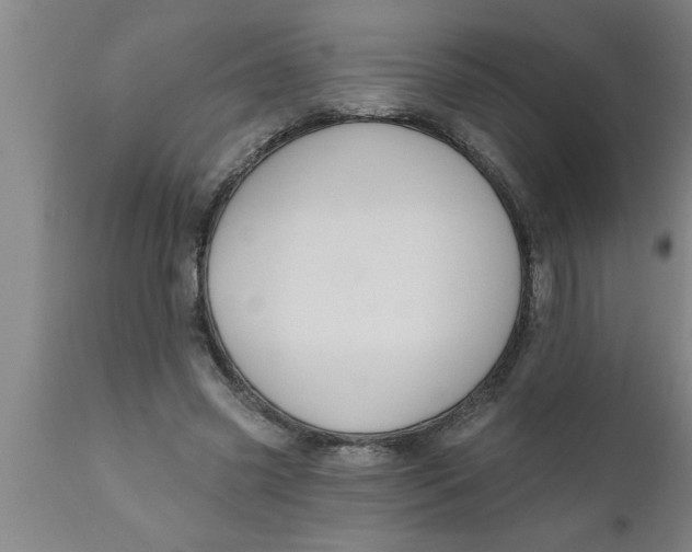 X0000111160541200907211229