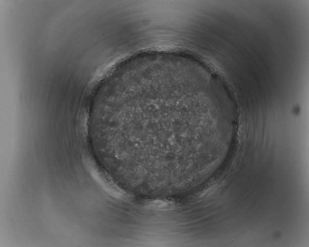 X0000111160542200907211229