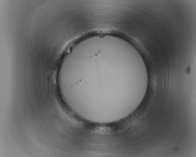 X0000111160543200907211229