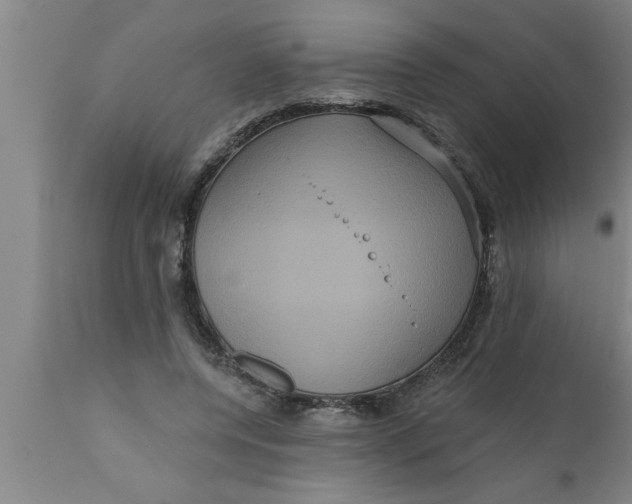 X0000111160544200907211229