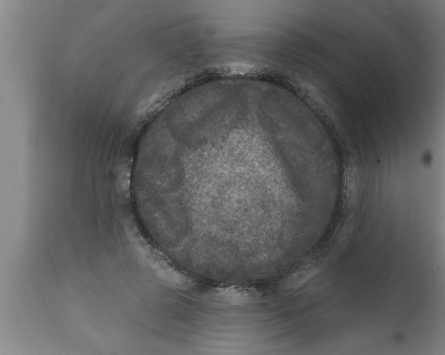 X0000111160545200907211229