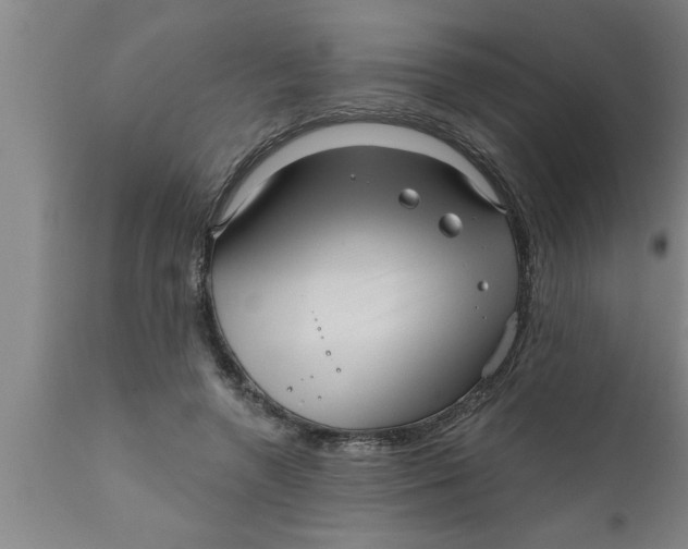 X0000111160546200907211229