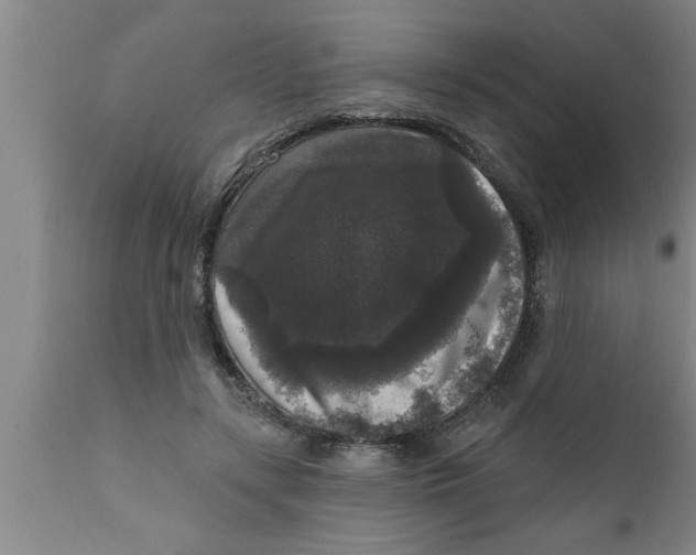 X0000111160547200907211229