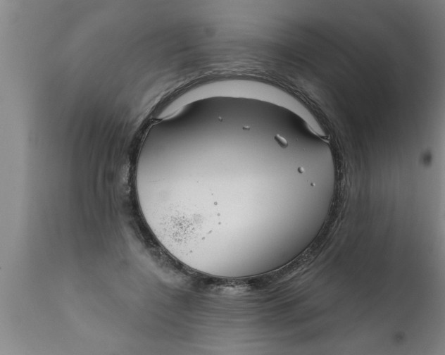 X0000111160548200907211229