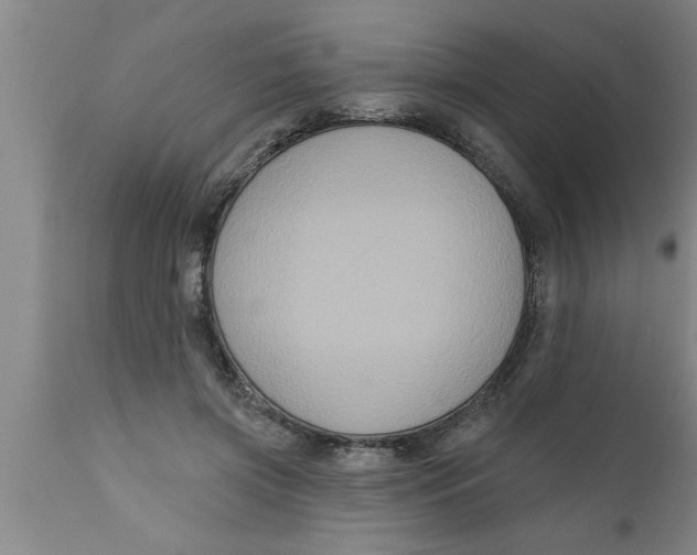 X0000111160549200907211229