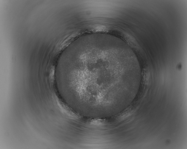 X0000111160550200907211229