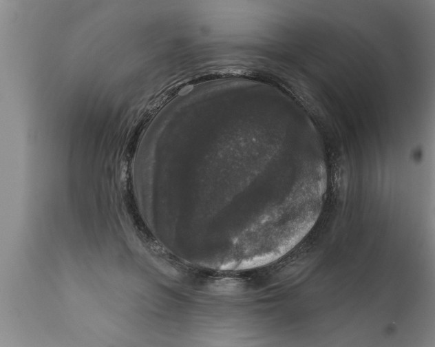 X0000111160551200907211229