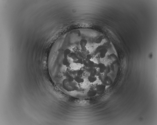 X0000111160553200907211229