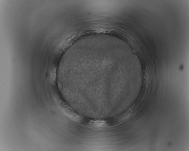 X0000111160554200907211229