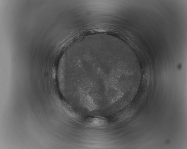 X0000111160555200907211229