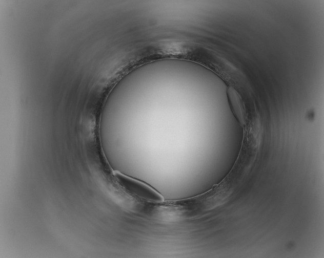 X0000111160556200907211229