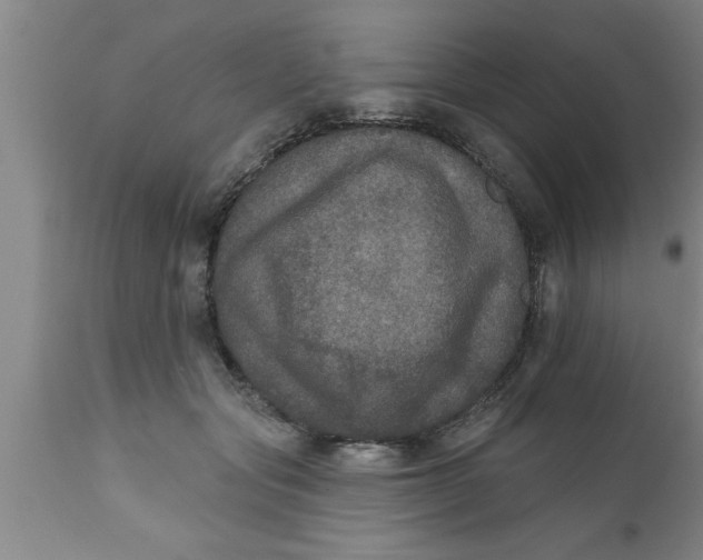 X0000111160557200907211229