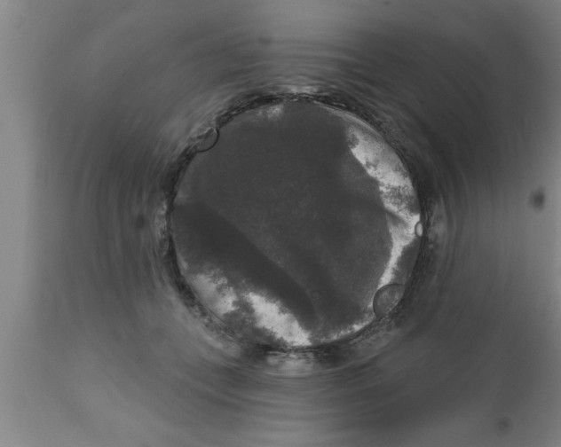 X0000111160559200907211229