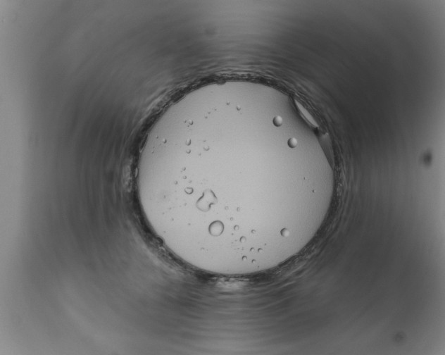 X0000111160560200907211229