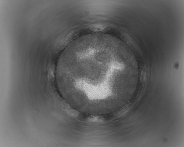 X0000111160561200907211229