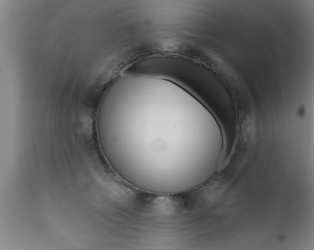 X0000111160562200907211229