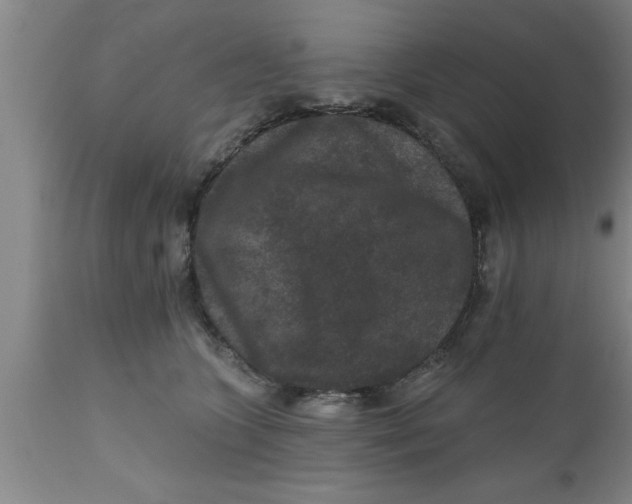 X0000111160563200907211229