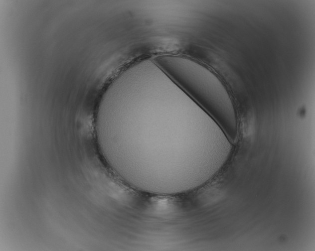 X0000111160564200907211229