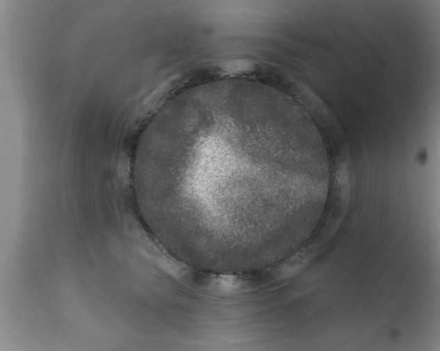 X0000111160565200907211229