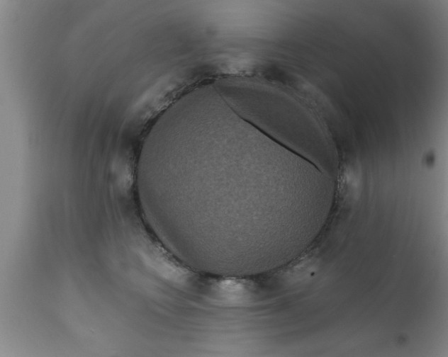 X0000111160566200907211229