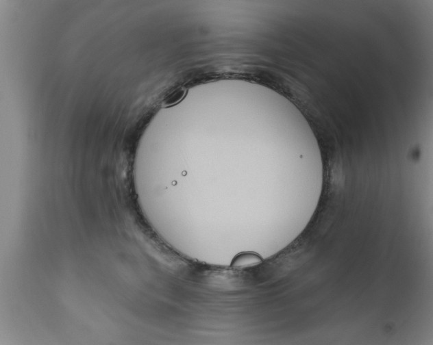 X0000111160567200907211229