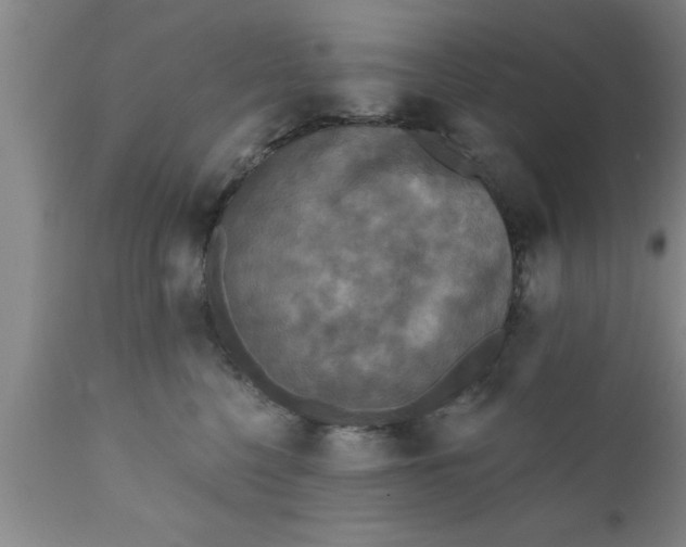 X0000111160568200907211229