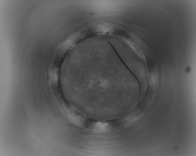 X0000111160570200907211229