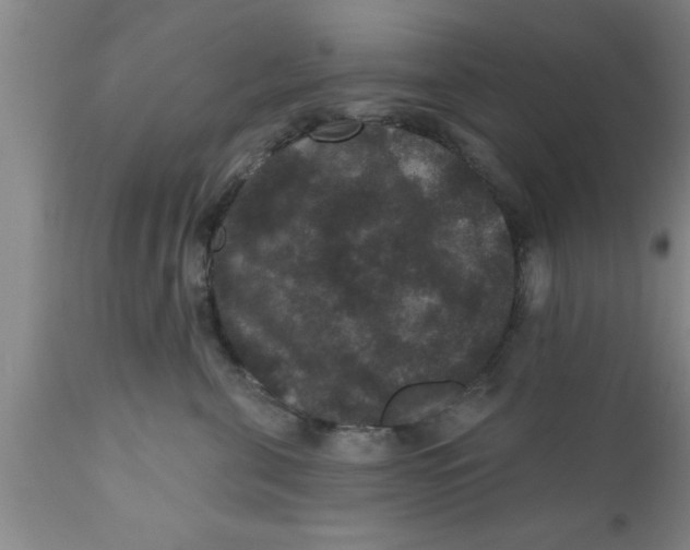 X0000111160571200907211230