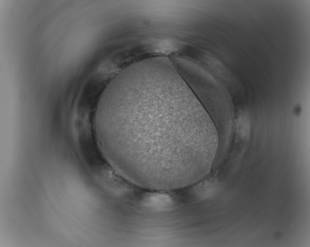 X0000111160572200907211230