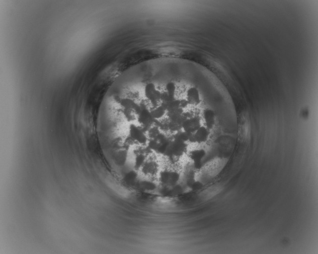 X0000111160573200907211230