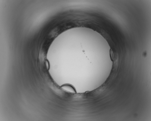 X0000111160574200907211230