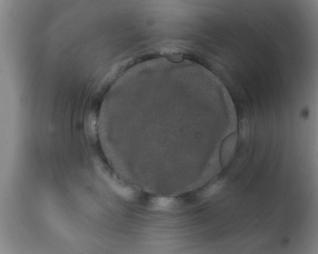 X0000111160575200907211230