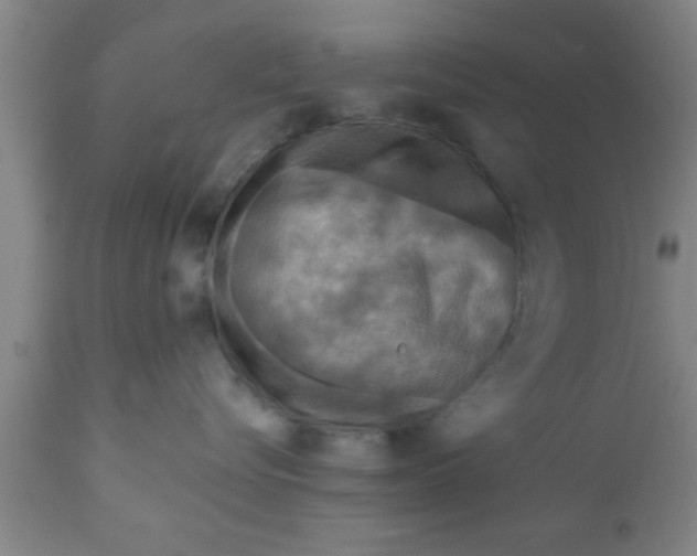 X0000111160576200907211230