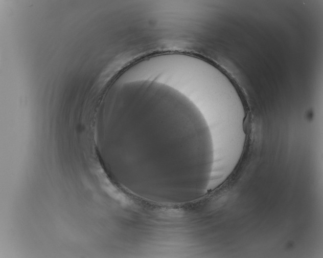 X0000111160577200907211229