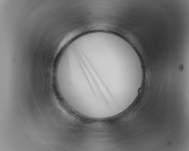 X0000111160578200907211229