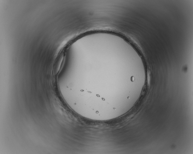 X0000111160579200907211229