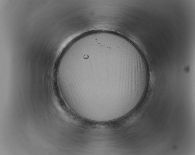 X0000111160580200907211229