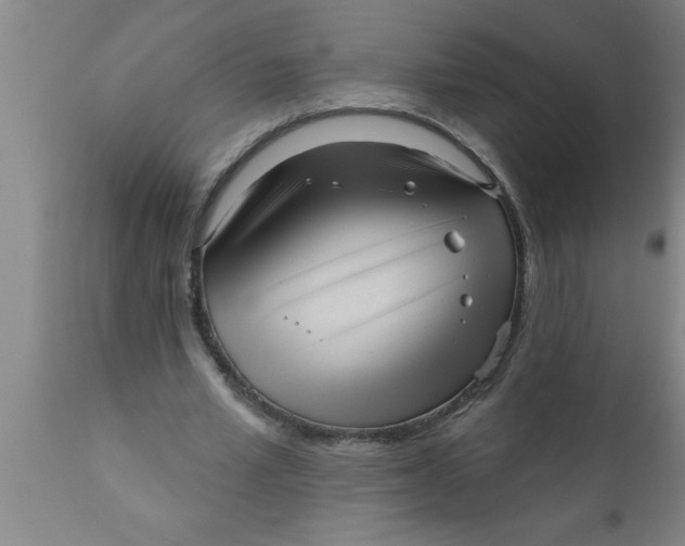 X0000111160581200907211229