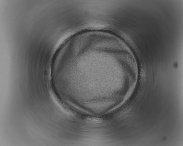 X0000111160582200907211229