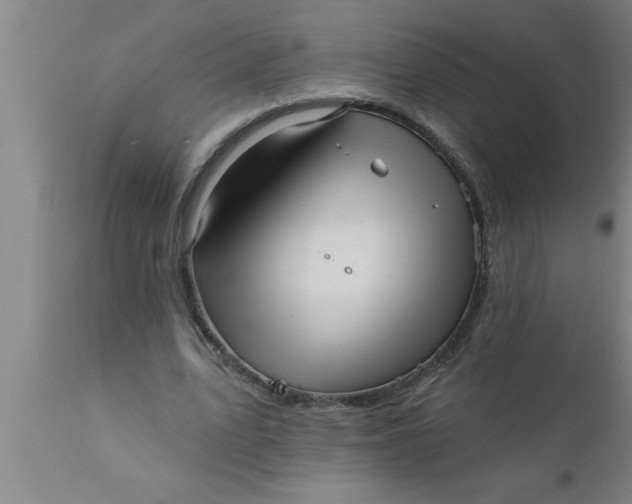 X0000111160583200907211229