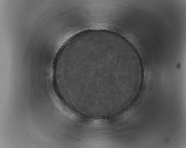 X0000111160584200907211229