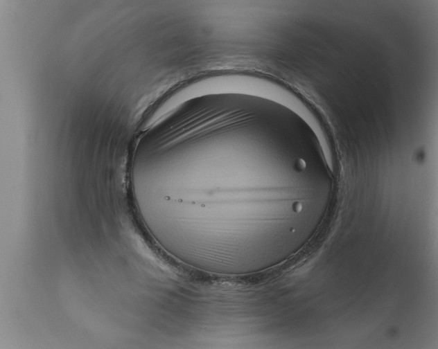 X0000111160585200907211229